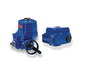 Actuador electrico FVS on-off 220 vac