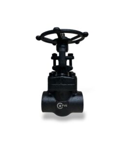 Válvula globo FVS A-105 trim 8 CL800 NPT